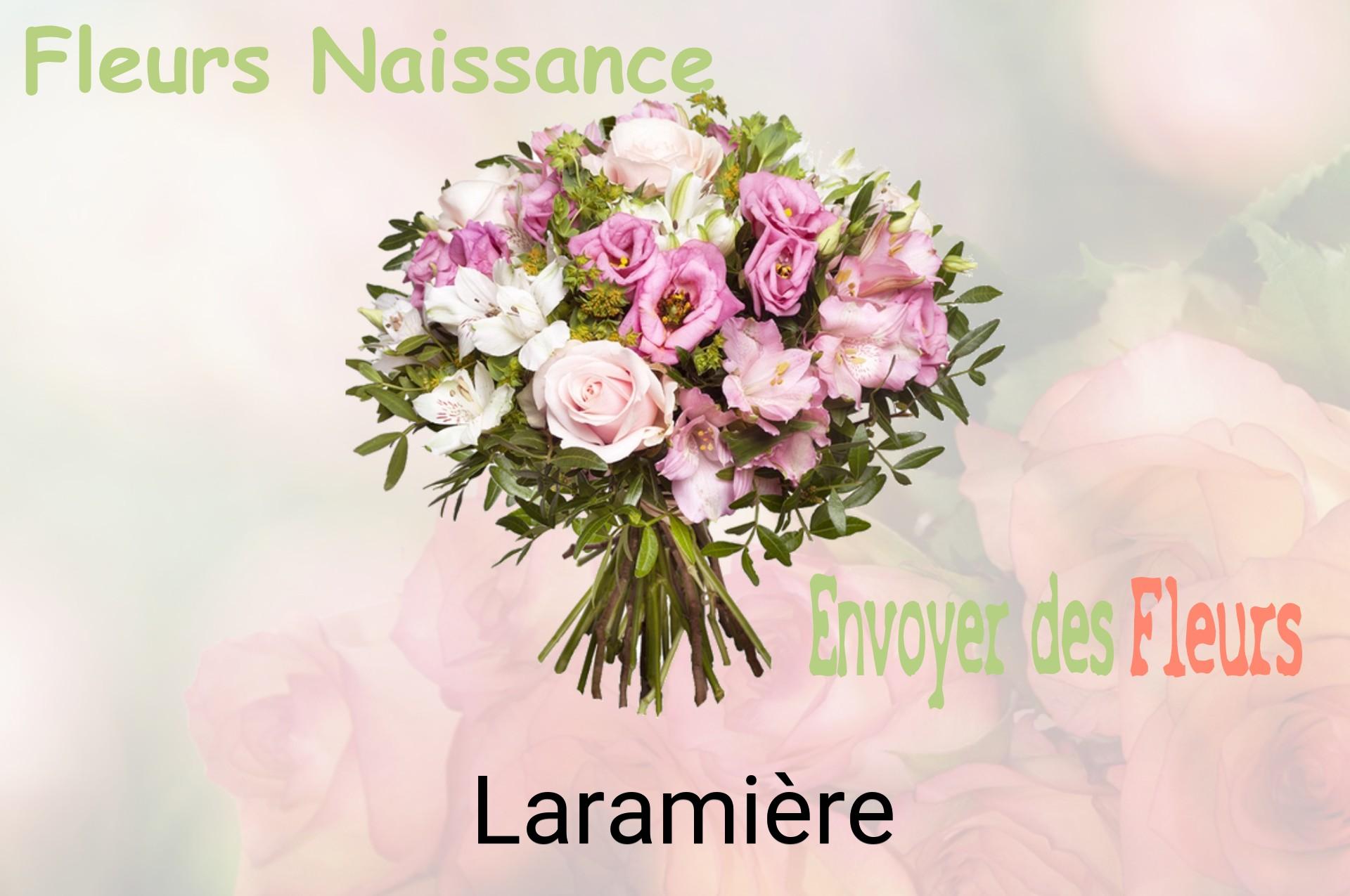Bouquet de fleurs de naissance livré à Laramière